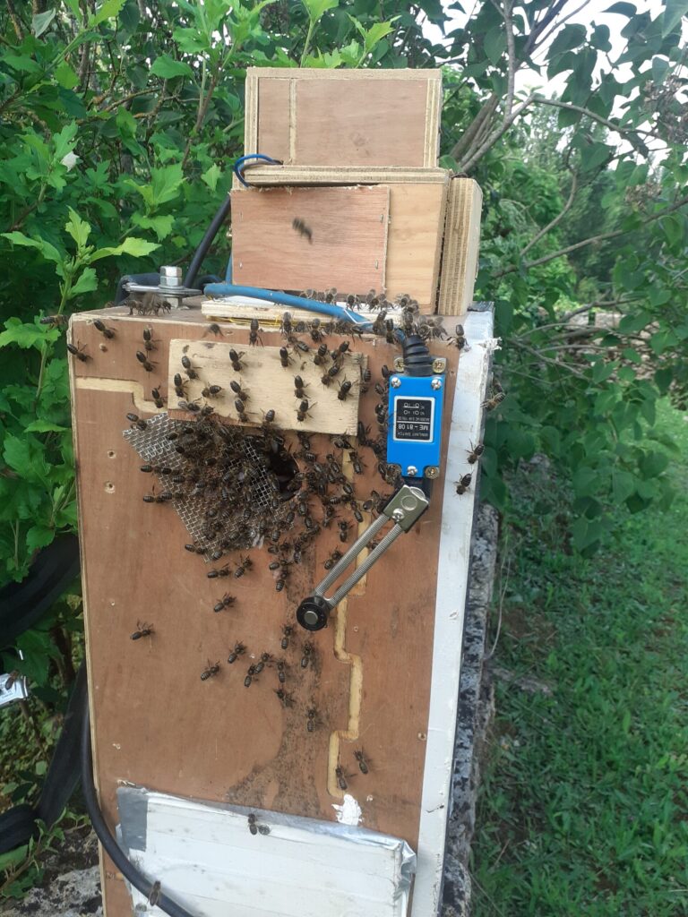 aspirateur à essaim abeille