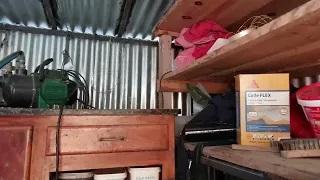 des frelon dans un meuble