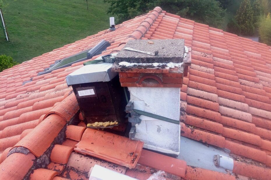 essaim dans un cheminée