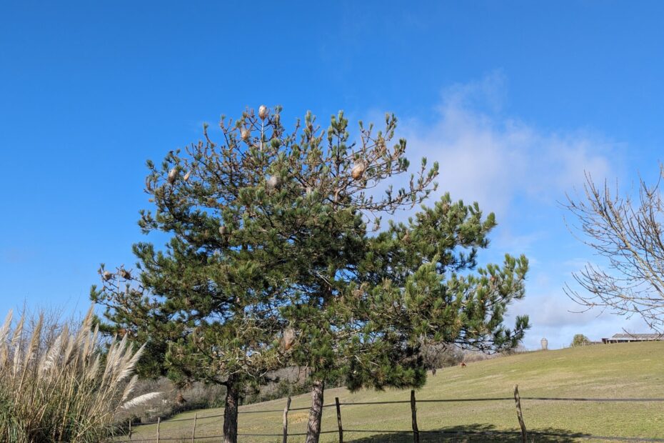 Pxl 20240306 094507429