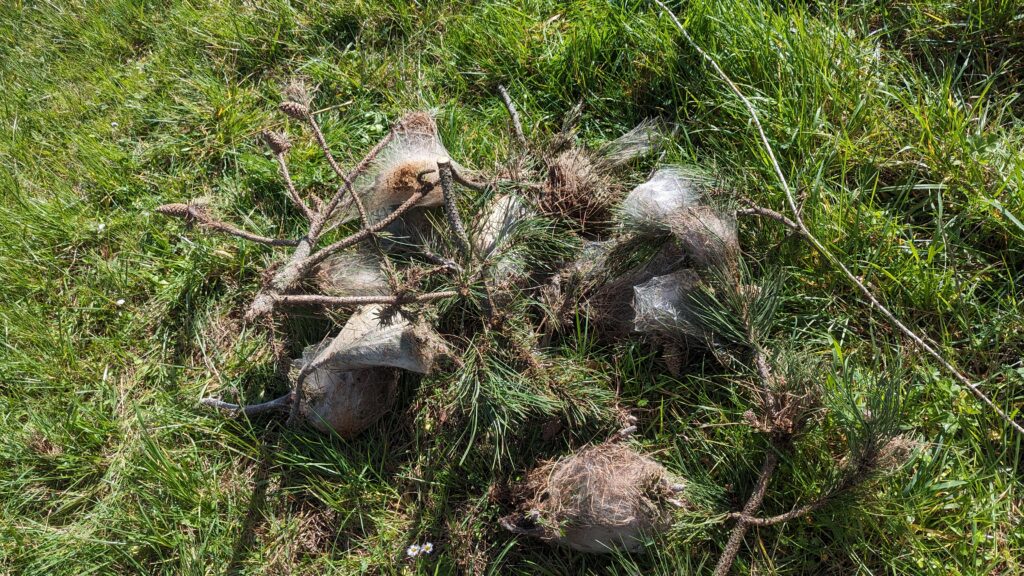 Pxl 20240306 101506688