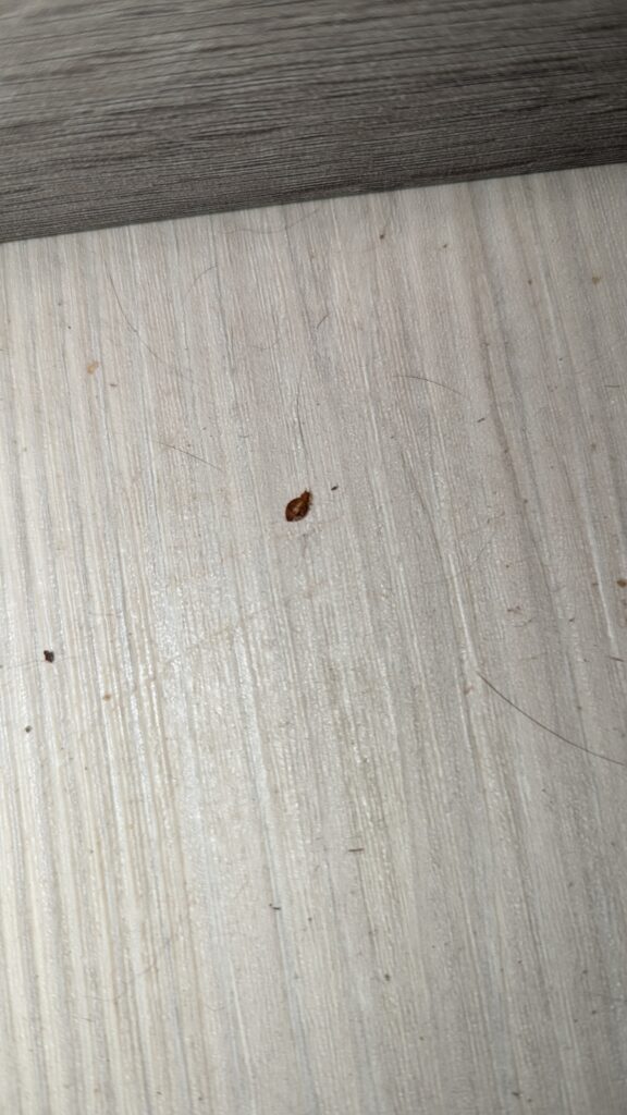 PXL_20240622_071212595